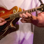 mandolin
