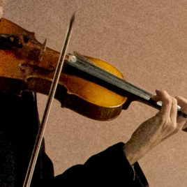 Behar, Sara—4 Private 1/2 Hour Lessons (Violin, Viola)